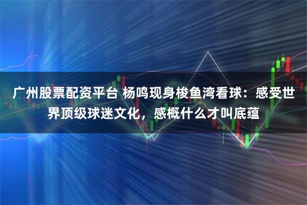 广州股票配资平台 杨鸣现身梭鱼湾看球：感受世界顶级球迷文化，感概什么才叫底蕴